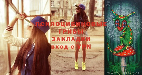 молекула духа Пересвет