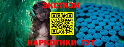 крисы Кинель