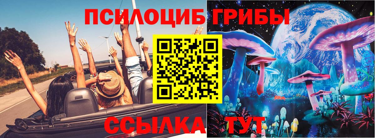 Галлюциногенные грибы прущие грибы Фрязино