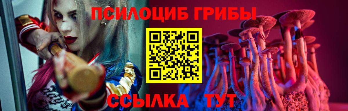 Галлюциногенные грибы Psilocybine cubensis  Фрязино  Галлюциногенные грибы прущие грибы 